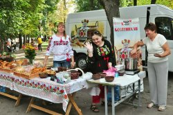 ������� �������� � fest�